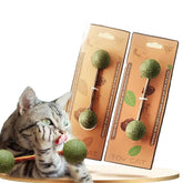 Cats Organic Catnip Cat Snacks